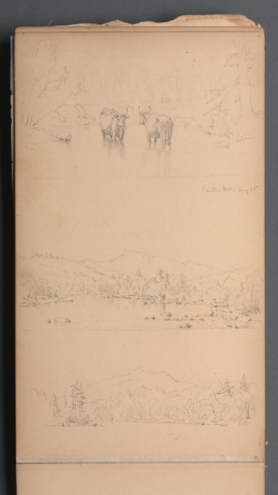 Schetsboek, pagina 07: "Carter Mt (?) 28 augustus" door Sanford Robinson Gifford