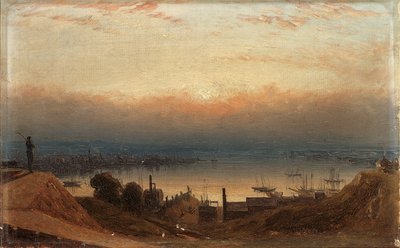 Het Bekken van de Patapsco vanaf Federal Hill, Baltimore door Sanford Robinson Gifford