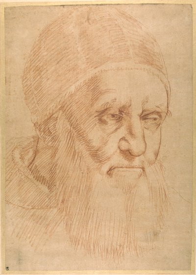 Paus Julius II, naar een karton van Raphael door Sanzio of Urbino (follower of) Raphael