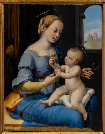 Madonna van de Rozen door Sanzio of Urbino (workshop) Raphael