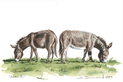 Boekensteunen, 2024 (Aquarel op papier) door Sarah Drummond