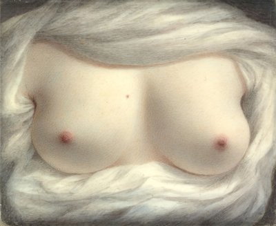 Schoonheid Onthuld, 1828 door Sarah Goodridge