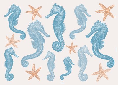 Zeepaardjes en Zeesterren, 2017 door Sarah Hough