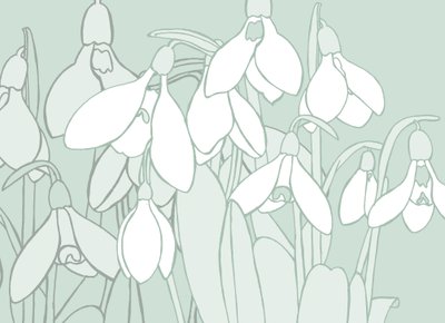 Sneeuwklokjes, 2017 door Sarah Hough