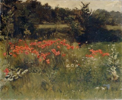 Klaprozen, Reigate door Sarah Paxton Ball Dodson