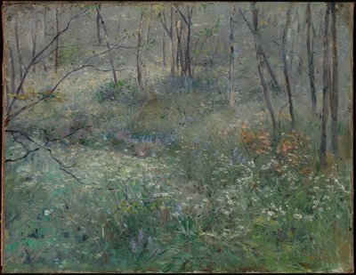 Wilde peterselie door Sarah Paxton Ball Dodson