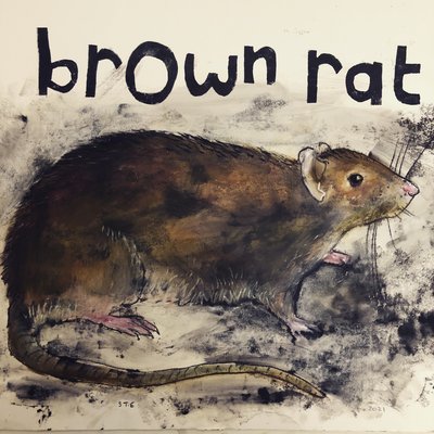 Bruine rat door Sarah Thompson Engels