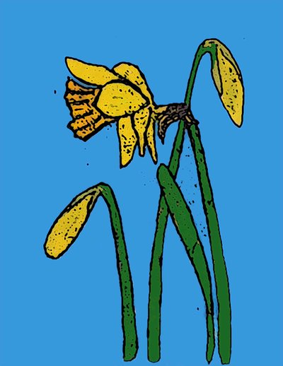 Narcissen door Sarah Thompson Engels