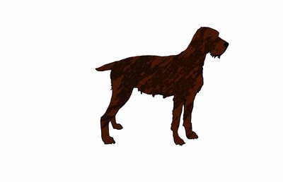 Hond, 2018 door Sarah Thompson Engels
