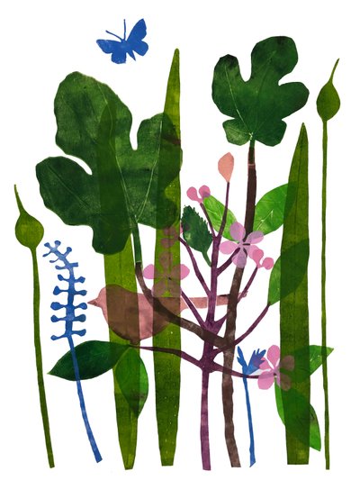 Vijgenbladeren door Sarah Thompson Engels