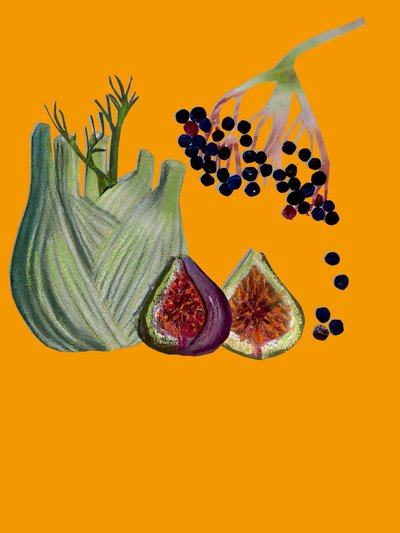 Fruit & groenten uitsnede door Sarah Thompson Engels