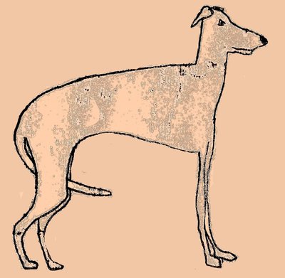 Magere hond door Sarah Thompson Engels