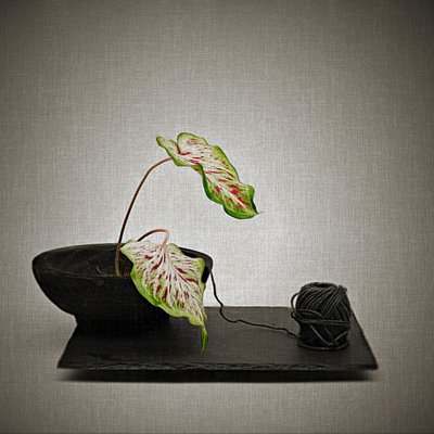  door Saskia Dingemans