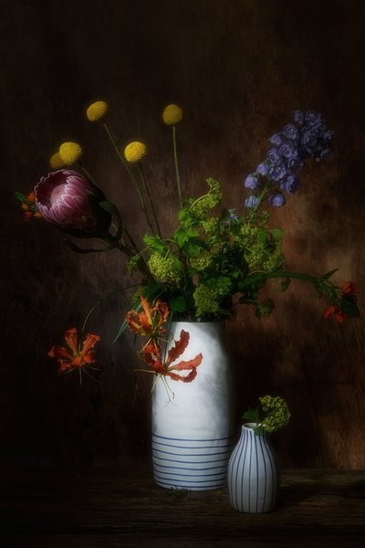  door Saskia Dingemans