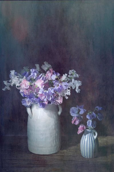  door Saskia Dingemans