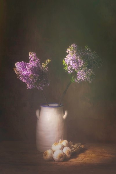  door Saskia Dingemans
