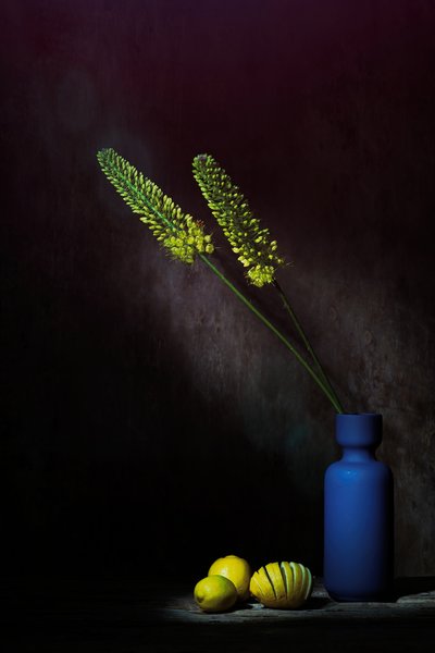  door Saskia Dingemans