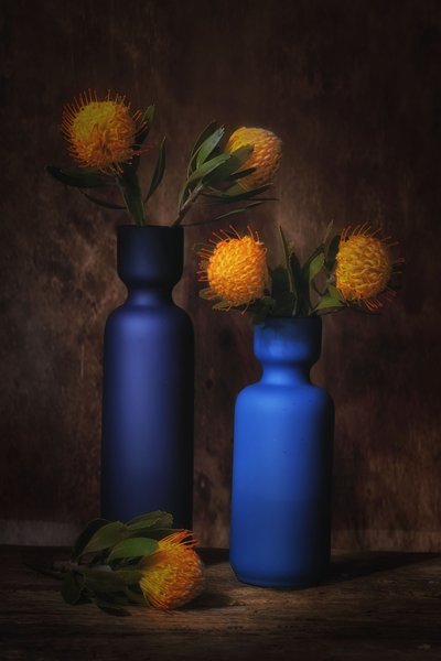  door Saskia Dingemans