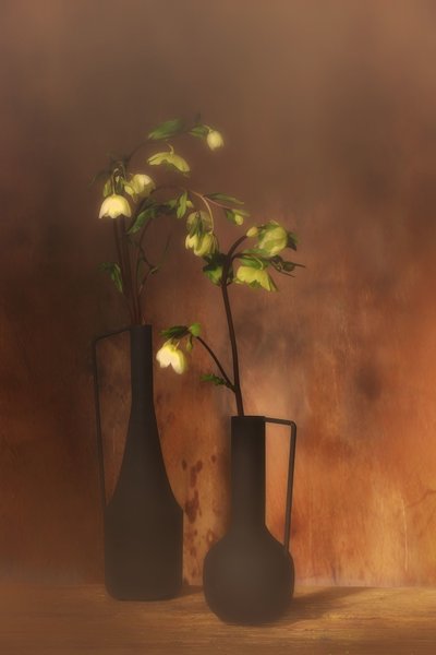  door Saskia Dingemans