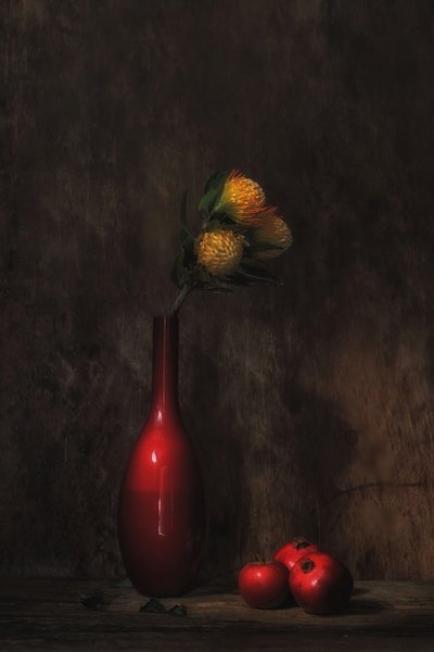  door Saskia Dingemans
