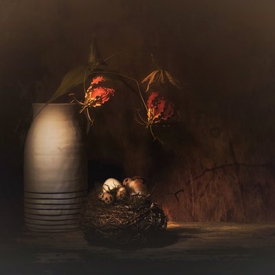  door Saskia Dingemans