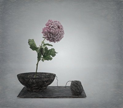  door Saskia Dingemans