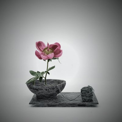  door Saskia Dingemans