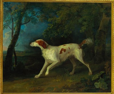 Een bruine en witte setter in een boslandschap door Sawrey Gilpin