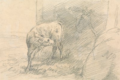 Kalf, met kop van een koe door Sawrey Gilpin