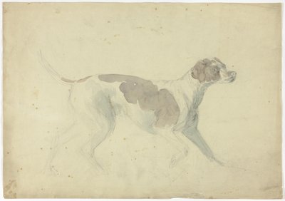 Vossenhond (recto); Schetsen van paard en ruiter (verso) door Sawrey Gilpin