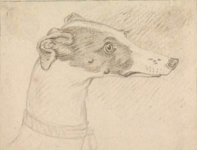 Hoofdportret van windhond door Sawrey Gilpin