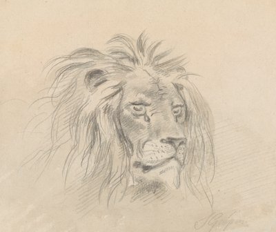 Hoofd van een leeuw door Sawrey Gilpin