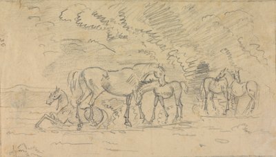 Paarden in een weiland door Sawrey Gilpin