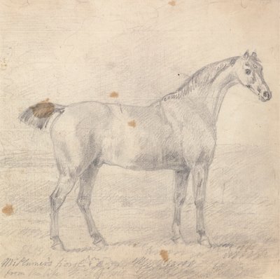 Het paard van meneer Plumer door Sawrey Gilpin