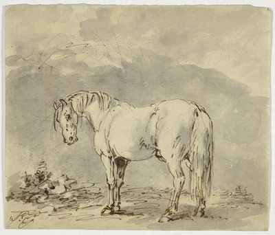 Staand Paard met Gedraaide Kop door Sawrey Gilpin