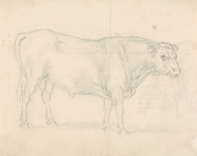 Studie van een stier door Sawrey Gilpin
