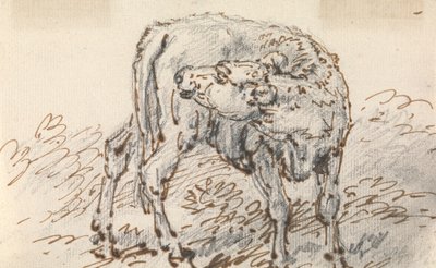 Studie van een Kalf door Sawrey Gilpin