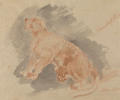 Studie van een tijger door Sawrey Gilpin