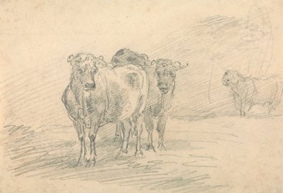 Twee Koeien op een Heuvel door Sawrey Gilpin
