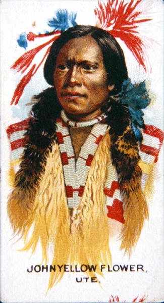John Yellow Flower door School American