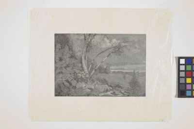 Landschap door School American
