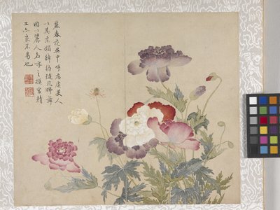 8 Blad Album van Bloemen, midden 1700s door School Chinese
