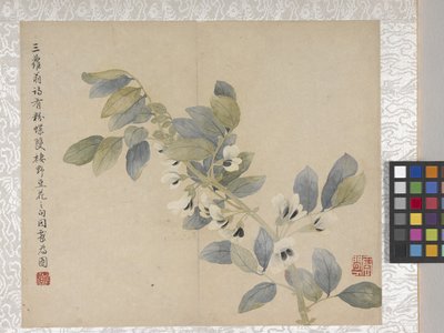 8-bladig album van bloemen, midden 1700s door School Chinese