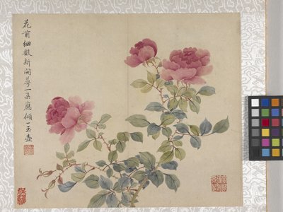 8 Blad Album Van Bloemen, midden 1700s door School Chinese