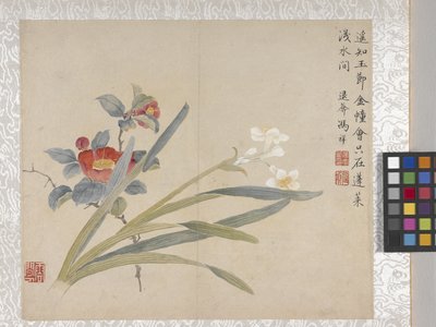 8-bladig album van bloemen, midden 1700s (inkt en kleur op papier) door School Chinese