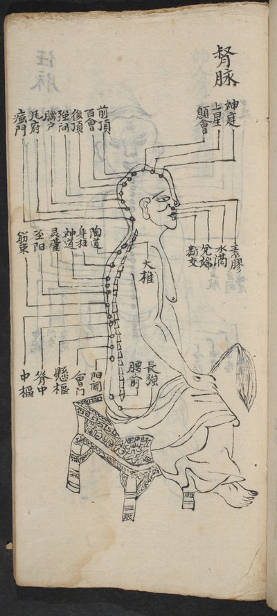 Acupunctuurpunten langs de ruggengraat en het hoofd, uit Jing Guan Qi Zhi, 