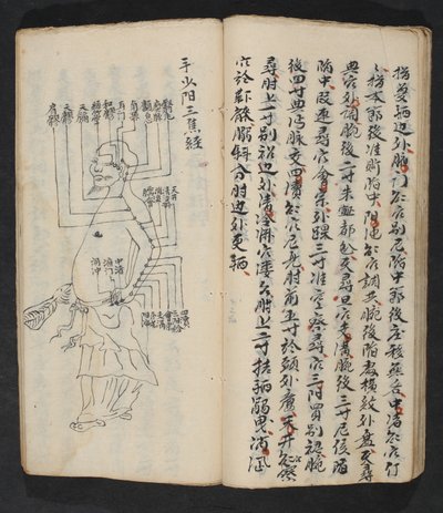 Acupunctuurpunten op de arm, nek en basis van het hoofd, uit Jing Guan Qi Zhi, 