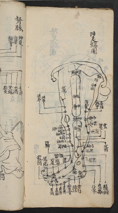 Acupunctuurpunten op het been, uit Jing Guan Qi Zhi, 