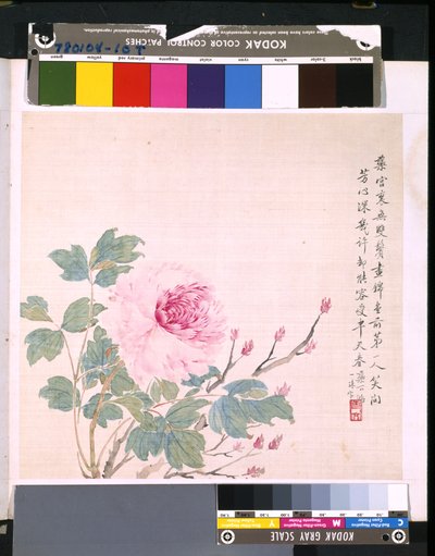 Album van bloemen en vogels door School Chinese