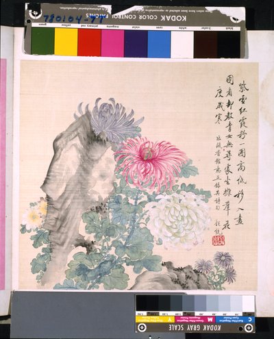 Album van bloemen en vogels door School Chinese